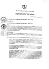Vista preliminar de documento Ordenanza municipal