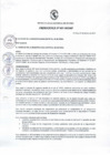 Vista preliminar de documento Ordenanza municipal
