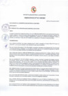 Vista preliminar de documento Ordenanza municipal