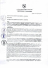 Vista preliminar de documento Ordenanza municipal