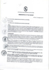 Vista preliminar de documento Ordenanza municipal