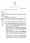 Vista preliminar de documento Ordenanza municipal