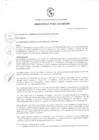 Vista preliminar de documento Ordenanza municipal