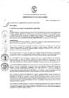 Vista preliminar de documento Ordenanza municipal