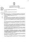 Vista preliminar de documento Ordenanza municipal