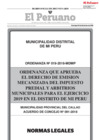 Vista preliminar de documento Ordenanza municipal