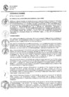 Vista preliminar de documento Ordenanza municipal