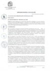 Vista preliminar de documento OM_001-2022-MPV