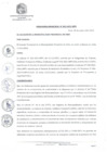 Vista preliminar de documento OM_003-2022-MPV