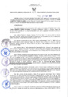 Vista preliminar de documento RES N°023-2022-GRDS