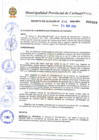 Vista preliminar de documento DAN° 002-2009.pdf