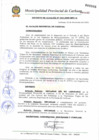 Vista preliminar de documento DAN° 003-2009.pdf