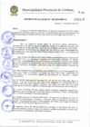 Vista preliminar de documento DAN° 002-2010.pdf