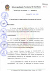 Vista preliminar de documento DAN° 003-2010.pdf