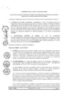 Vista preliminar de documento 2016