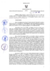 Vista preliminar de documento RES N°059-2022-GR