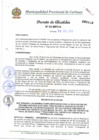 Vista preliminar de documento DAN° 003-2011.pdf