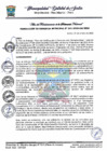Vista preliminar de documento G MUNICIPAL 41.pdf