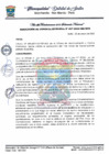 Vista preliminar de documento G MUNICIPAL 37.pdf