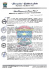 Vista preliminar de documento G MUNICIPAL 36.pdf