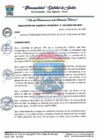 Vista preliminar de documento G MUNICIPAL 28.pdf