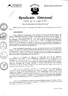 Vista preliminar de documento RD_043_2022_GRU_DIRESAU_OAJ.pdf