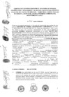 Vista preliminar de documento 2016