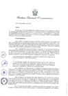 Vista preliminar de documento Resolución Directoral 