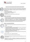 Vista preliminar de documento Acta N° 04-2016-CCI