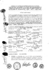 Vista preliminar de documento 2016