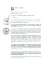 Vista preliminar de documento ra-028-2019-mdjm.pdf