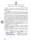 Vista preliminar de documento RESOLUCION DE ALCALDÍA N° 263 -2019