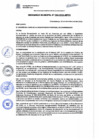 Vista preliminar de documento Ordenanza Municipal