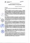 Vista preliminar de documento Ordenanza Municipal