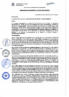 Vista preliminar de documento Ordenanza Municipal