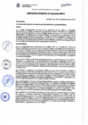 Vista preliminar de documento Ordenanza Municipal