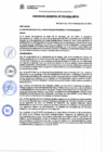Vista preliminar de documento Ordenanza Municipal