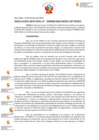 Vista preliminar de documento RJ N° 06 Y ANEXO.pdf