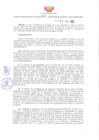 Vista preliminar de documento RGRRNYGMA N° 005-2022