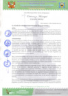 Vista preliminar de documento Ordenanza Municipa N° 015-MPVH.pdf