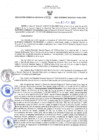 Vista preliminar de documento RES N°026-2022-GRDS