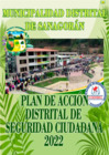 Vista preliminar de documento Plan de acción y seguridad ciudadana 2022