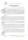 Vista preliminar de documento Resolución de Gerencia de Administración y Finanzas N°099-2021-MDI