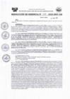 Vista preliminar de documento RESOLUCION DE GERENCIA N° 238-2020-MDY-GM.pdf