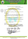 Vista preliminar de documento DECRETO DEL ALCALDIA.pdf