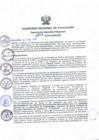 Vista preliminar de documento RER_203_2016.pdf