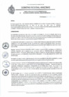 Vista preliminar de documento REA N° 016.pdf