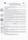 Vista preliminar de documento Ordenanza_Muni_017_2020.pdf