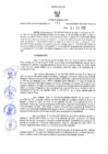 Vista preliminar de documento RER N° 073-2022.pdf