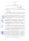 Vista preliminar de documento RER N° 077-2022